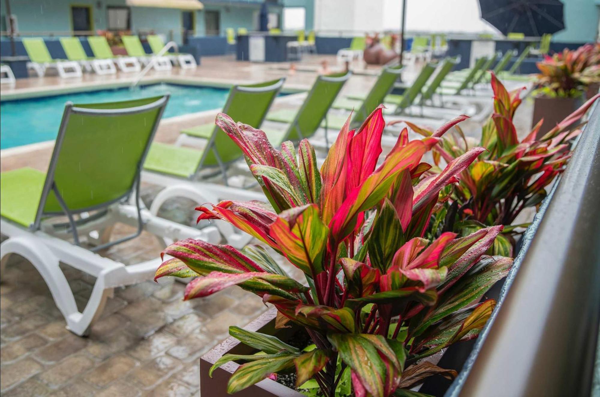 *Ocean View Beauty*King Bed*Rooftop Pool*Beach*Hot Tubs*M123 Миртл-Бич Экстерьер фото